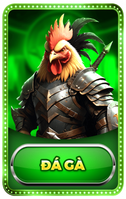 Sảnh cược đá gà i999